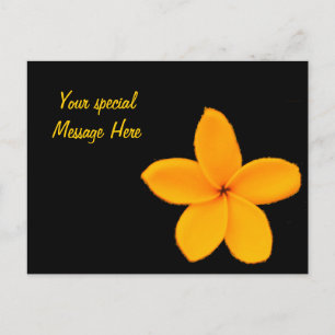 Cartão Postal Plumeria
