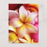 Plumeria Frangipani Hawaii Flor Vazio Personalizad