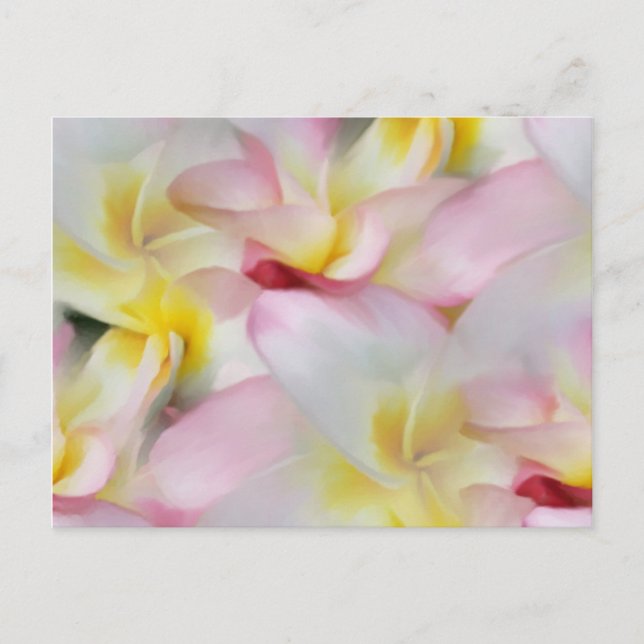 Cartão Postal Plumeria Watercolor Postcard (Frente)