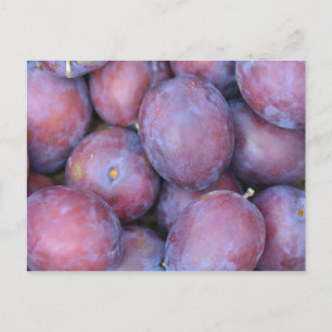 Cartão Postal Plums Card