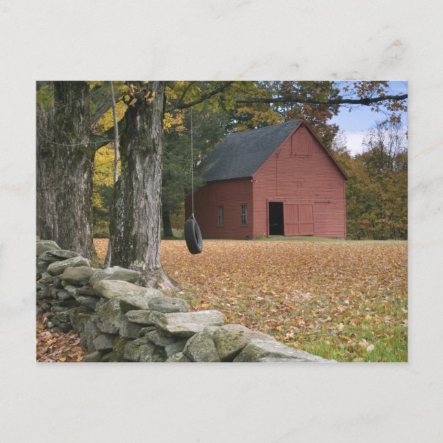 Cartão Postal Pneus balançando ao longo de uma estrada no sul de (Frente)