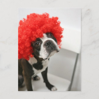 Cartão Postal Pocky Postcards