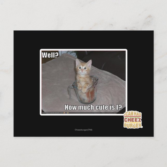 Cartão Postal Poço? (Frente)