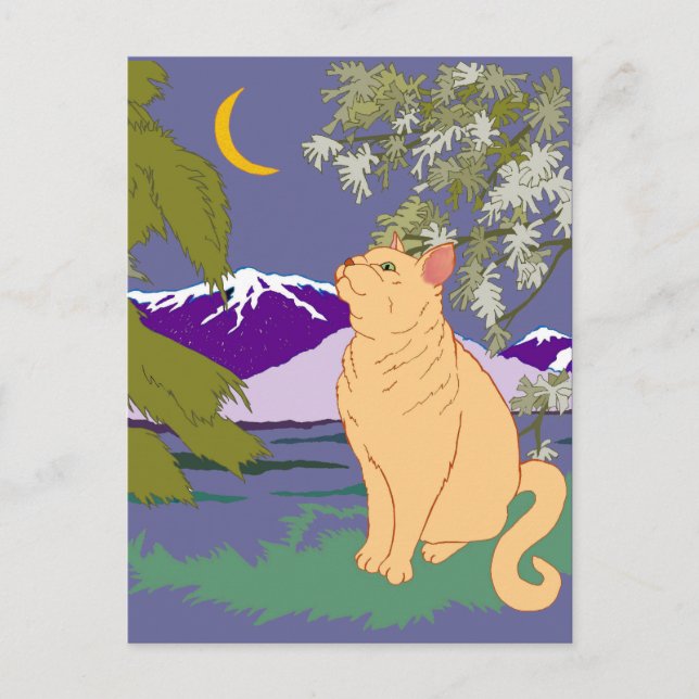 Cartão Postal Pode Haver Ratos (Frente)