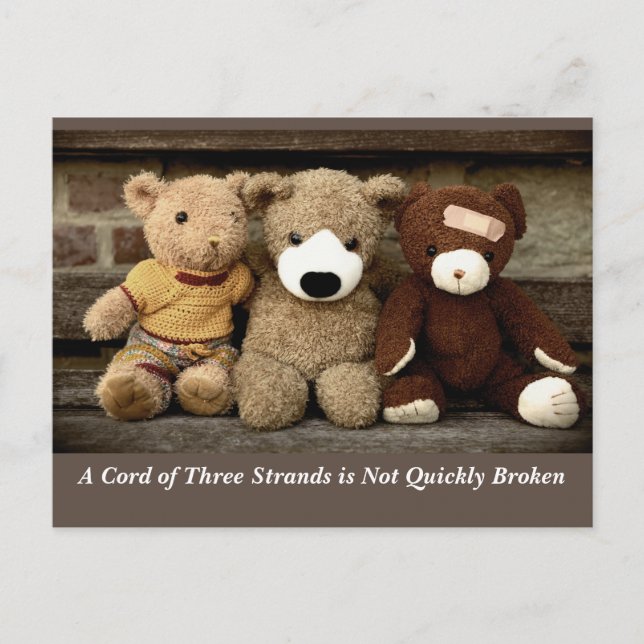 Cartão Postal Poder da Amizade Eclesiastes 4:12 (Frente)