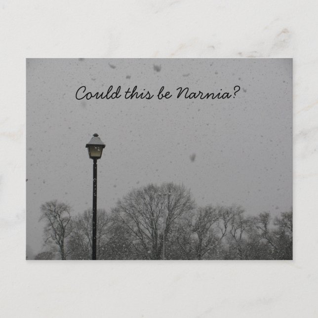 Cartão Postal Podia este ser Narnia? (Frente)