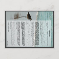 Poema Desiderata - Seagull na cena da praia