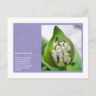Cartão Postal Poema por uma vida nova