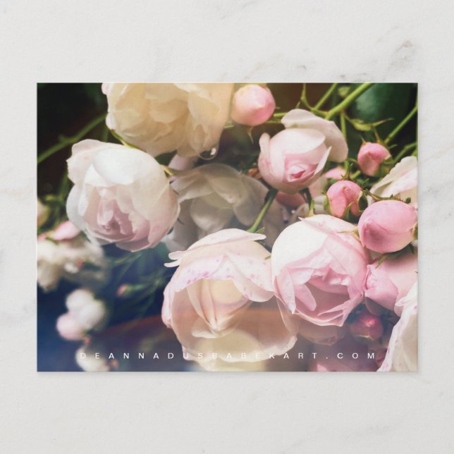 Cartão Postal Poesia da Coleção de Rosas (Frente)