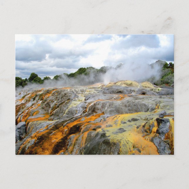 Cartão Postal Pohutu Geyser, Rotorua, Nova Zelândia (Frente)