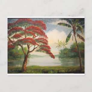 Cartão Postal Poinciana Real (Árvore Flamboyant)