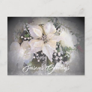 Cartão Postal Poinsettia de Natal Branco Elegante