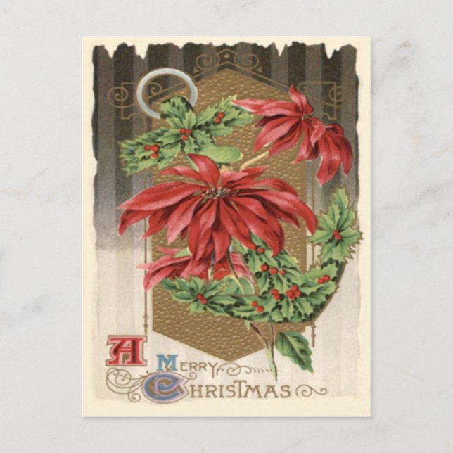 Cartão Postal Poinsettia Holly Anchor Náutico (Frente)
