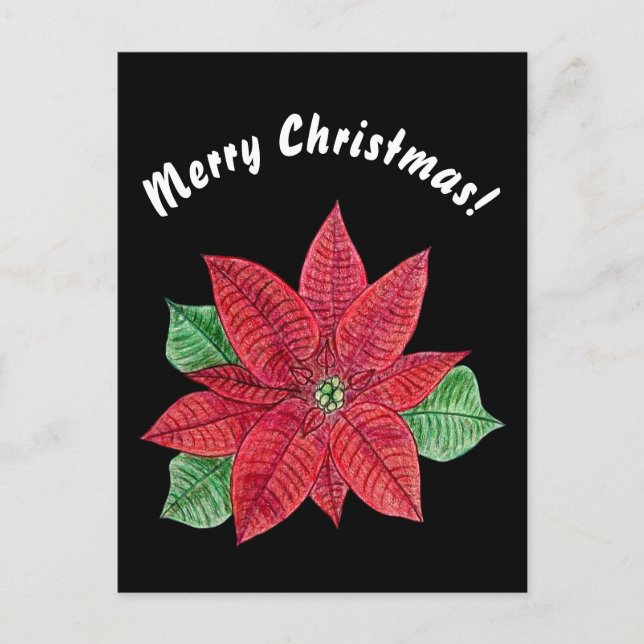 Cartão Postal Poinsettia - Merry Christmas Postcard - Black (Frente)
