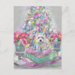 Cartão Postal Poinsettias Rosa