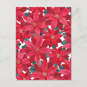 Cartão Postal Poinsettias Winter Shelter