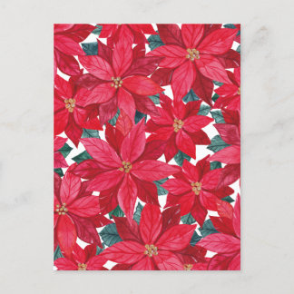 Cartão Postal Poinsettias Winter Shelter