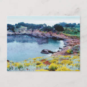 Cartão Postal Point Lobos