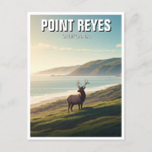 Point Reyes National Seashore Elk