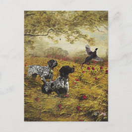 Cartão Postal Pointer Alemão de Cabelo Curto