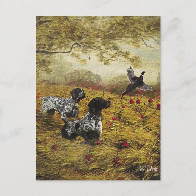 Cartão Postal Pointer Alemão de Cabelo Curto (Frente)