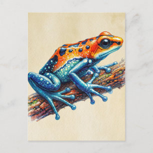 Cartão Postal Poison Dart Sapo Laranja