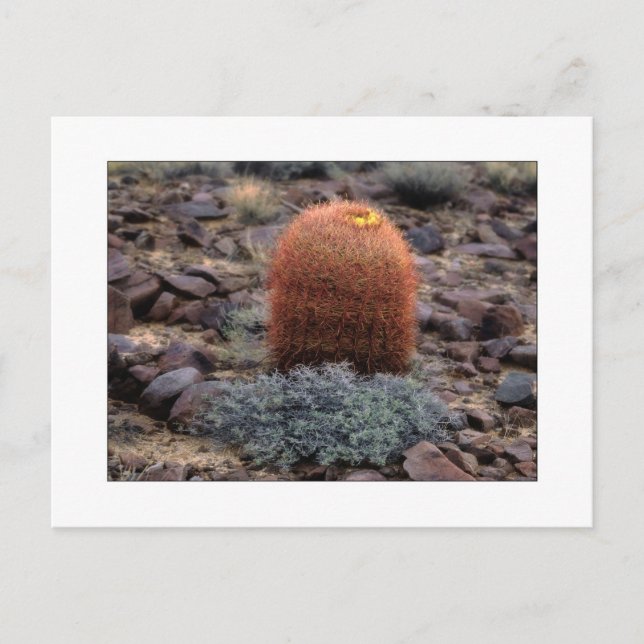 Cartão Postal "Polegares acima " (Frente)