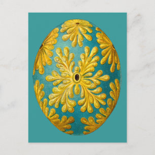 Cartão Postal Policinum constellatum, Ernst Haeckel Vintage