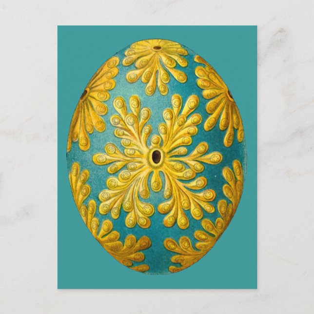 Cartão Postal Policinum constellatum, Ernst Haeckel Vintage (Frente)