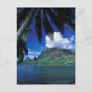 Cartão Postal Polinésia Francesa, Moorea. Baía de Cooks. Verde