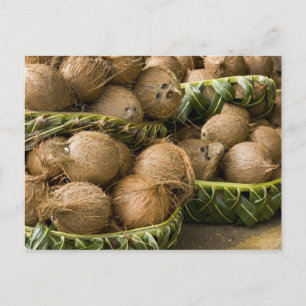 Cartão Postal Polinésia, Reino de Tonga. Exibição de cocos