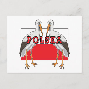 Cartão Postal Polonês White Stork Polska