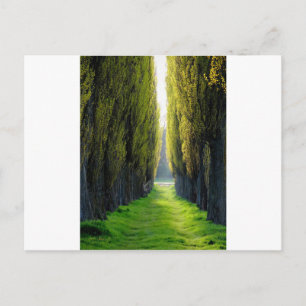 Cartão Postal POLÔNIA ALEJAWroclaw