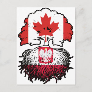 Cartão Postal Polônia Canadense Canadense Árvore Raízes Bandeira