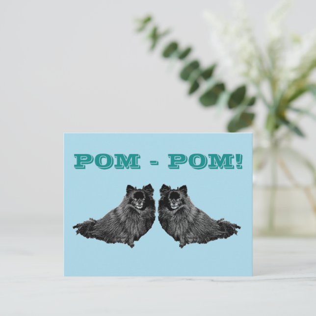 CARTÃO POSTAL POM - POM  (Em pé/Frente)