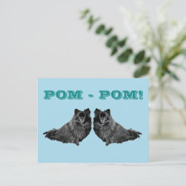 CARTÃO POSTAL POM - POM 