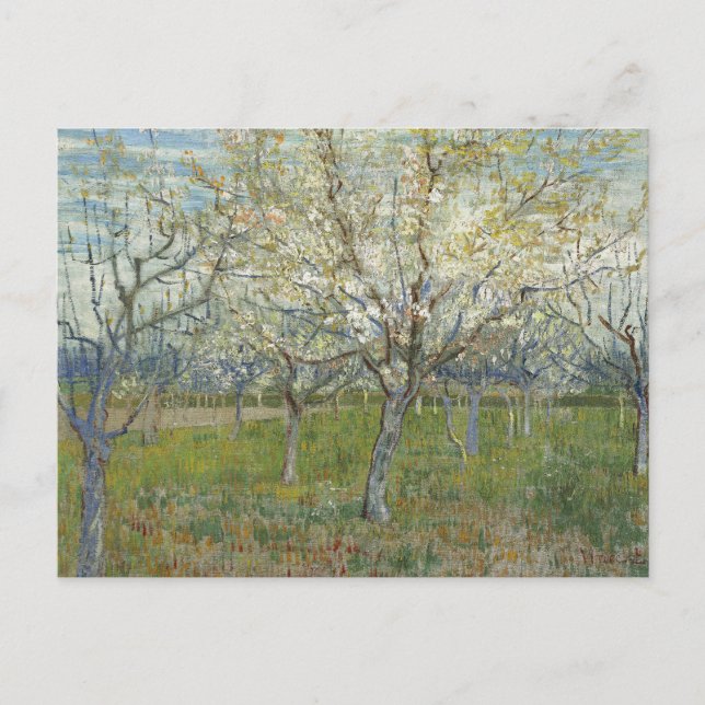 Cartão Postal Pomar com Ameixeiras em Flor - Van Gogh  (Frente)