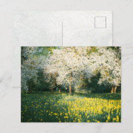 Cartão Postal Pomar sonhador de primavera