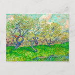 Cartão Postal Pomar Vincent van Gogh em Blossom<br><div class="desc">Cartão postal com o pomar de pintura a óleo de Vincent van Gogh em Blossom (1889). Lindas ameixeiras florescem suas folhas e frutas em Arles,  França. Um presente maravilhoso para amantes do Poste-impressionismo e colecionadores de arte holandeses!</div>