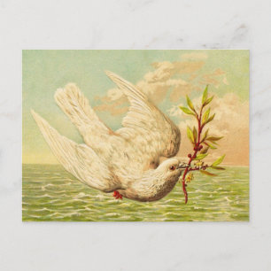 Cartão Postal Pomba da Paz Vintage