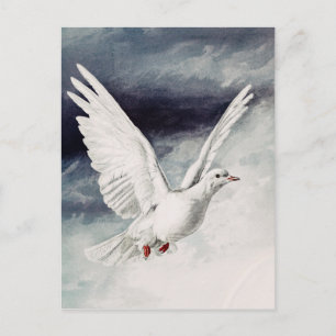 Cartão Postal Pomba do Espírito Santo Confirmação Religiosa e Pa
