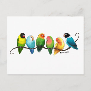 Cartão Postal Pombinhos