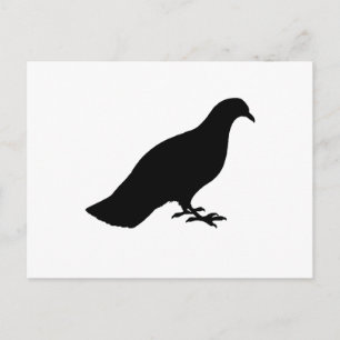 Cartão Postal Pombo