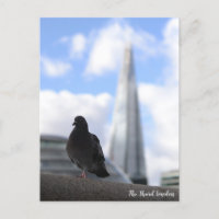 Pombo de Londres com Vista do Shard em Backgroud