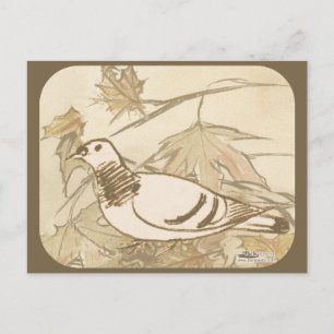 Cartão Postal Pombo na floresta