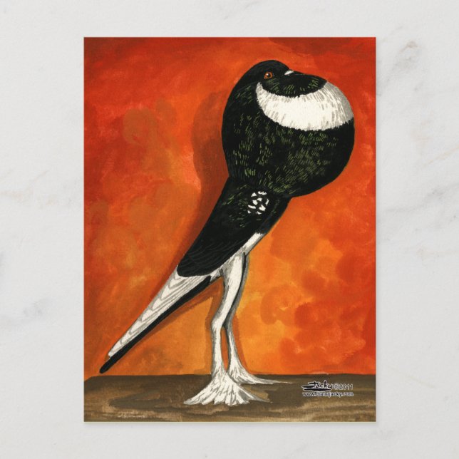 Cartão Postal Pombo-Pórtico-Pigon Preto (Frente)