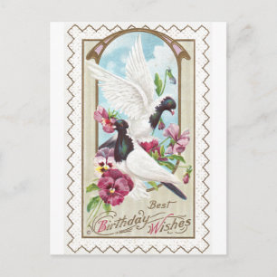 Cartão Postal Pombos e Pansias Vintage Aniversário
