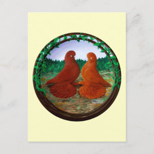 Cartão Postal Pombos-Tumbler Mufados2