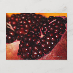 Cartão Postal Pomegranato