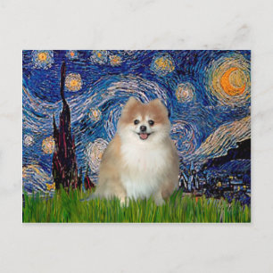 Cartão Postal Pomerânia 1 - Noite Estrelada